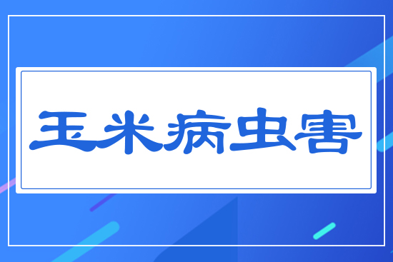 �������ڲ��x��