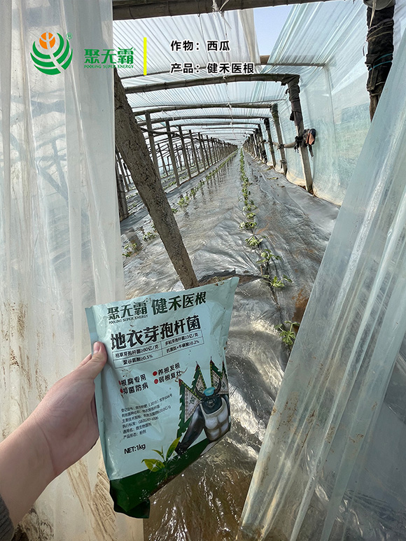 �����t(y��)������ѿ�ߗU��-�۟o(w��)��3