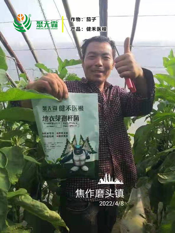 �����t(y��)������ѿ�ߗU��-�۟o(w��)��4