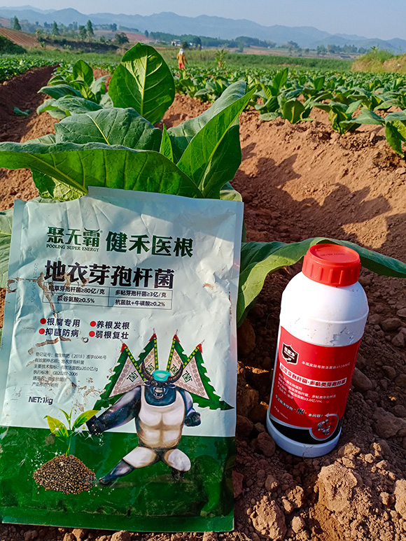 �����t(y��)������ѿ�ߗU��-�۟o(w��)��2