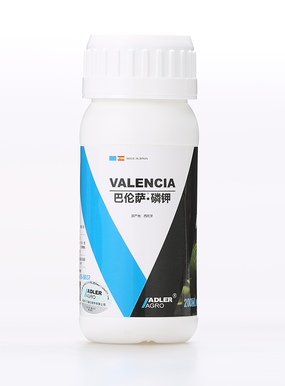 �͂��_�����4