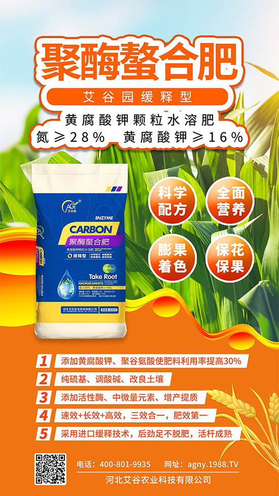 �ӱ������r(n��ng)�I(y��)�Ƽ����޹�˾4