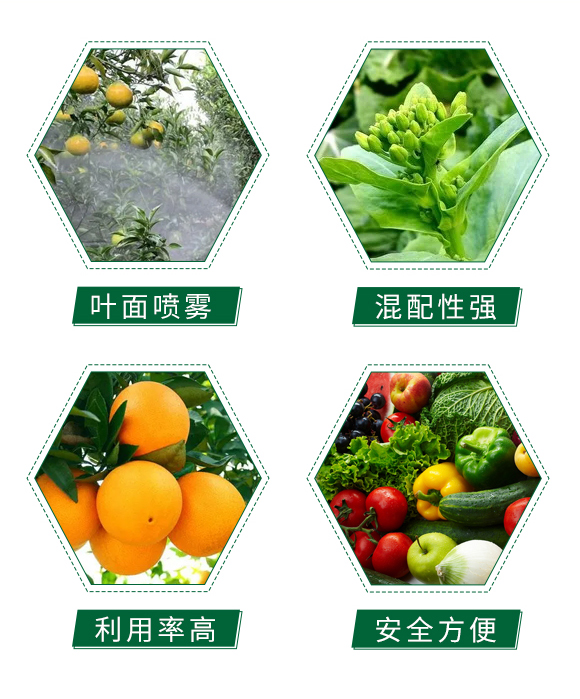 ����-��(chu��ng)�|�z-�Ƅ�(chu��ng)�r�I(y��)_05