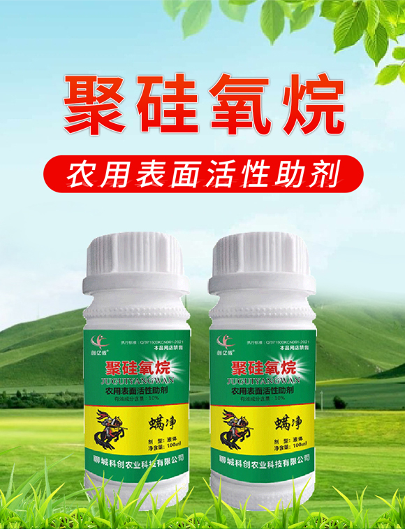 ����-��(chu��ng)�|�z-�Ƅ�(chu��ng)�r�I(y��)_01