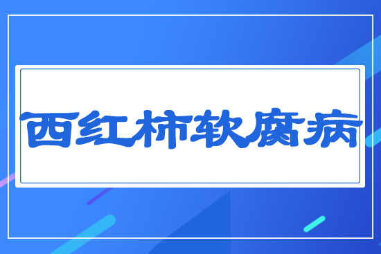 ���t��ܛ����