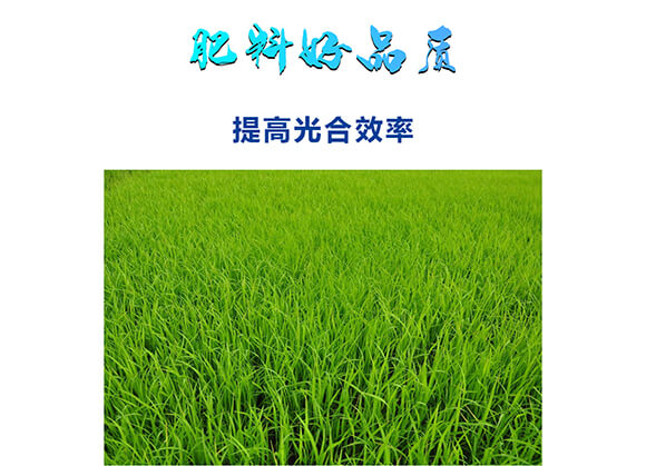 肽糖型肽糖磷鉀0-400-450-嘉樂收-嘉仕禾_05