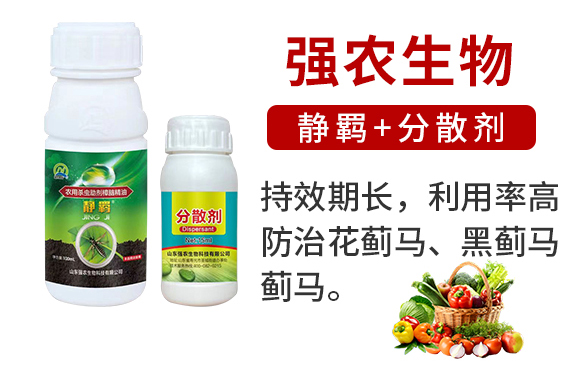 �o�b+��ɢ��-���r����02_02