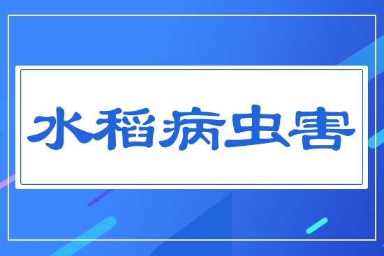 ˮ���ش��x(ch��ng)��