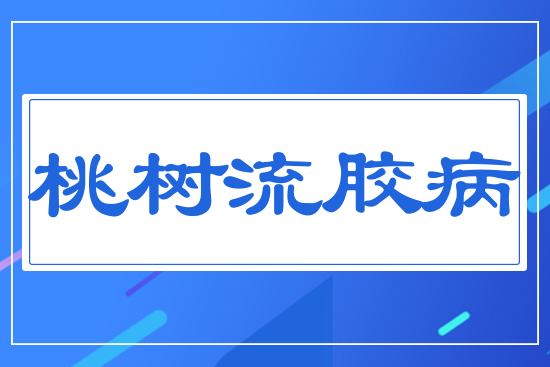 �ٿ����]1