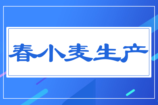 ��С�����a(ch��n)