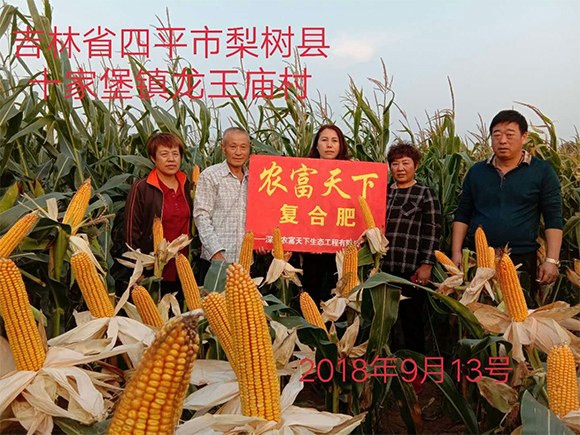 ���׌�(zhu��n)������������ȫˮ�܏�(f��)�Ϸ���28-6-6-�R���-�r(n��ng)������5