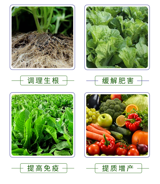 ��Դ���r(n��ng)-��ϲ��_05