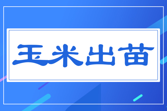 ���׳���