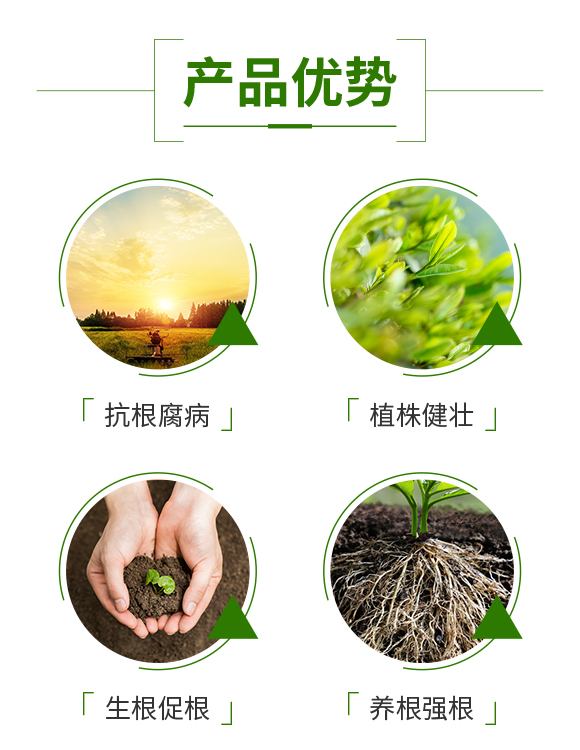 ���ϰ������ﱣ�o(h��)���޹�˾_03