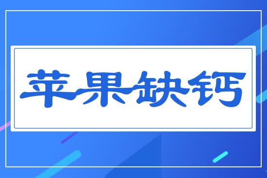 �O(p��ng)��ȱ�}