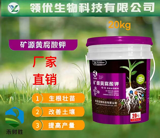 QQ圖片20230721172520