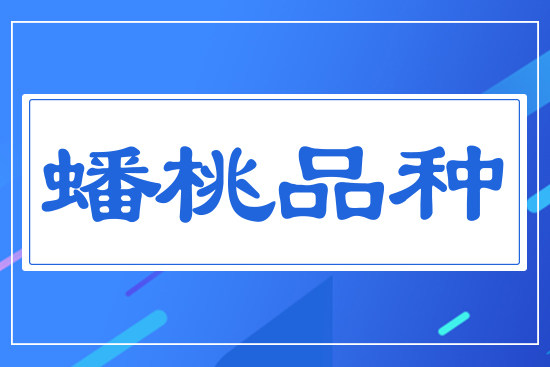 蟠桃品種
