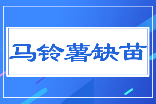 馬鈴薯缺苗