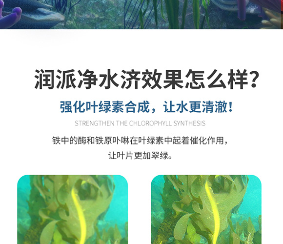 潤派底改凈水劑-潤派生物_10