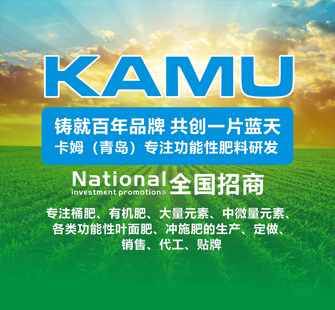 δ��(bi��o)�}-1