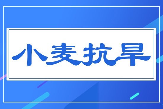 С������