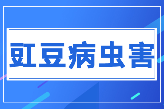 �������x��