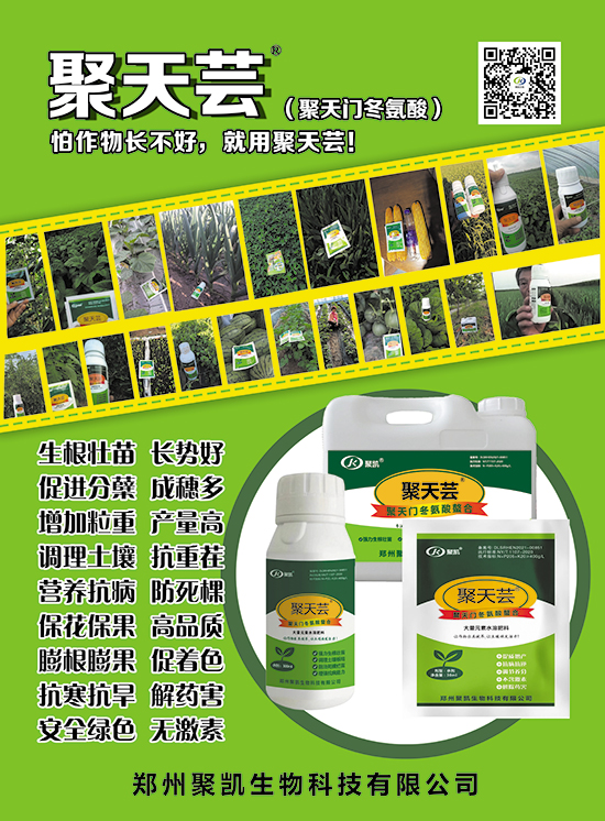 微信圖片_20250419085813