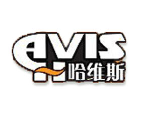 ɽ�|���S˹�����Ƽ����޹�˾