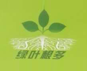 �V���G�~�M�����Q�����޹�˾