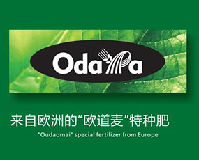 �W�������Ϻ����M(j��n)�����Q(m��o)�����޹�˾