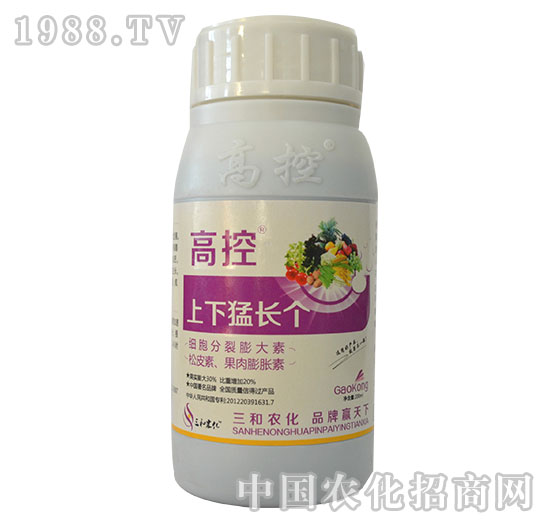 �߿�-�������L��-�����r��