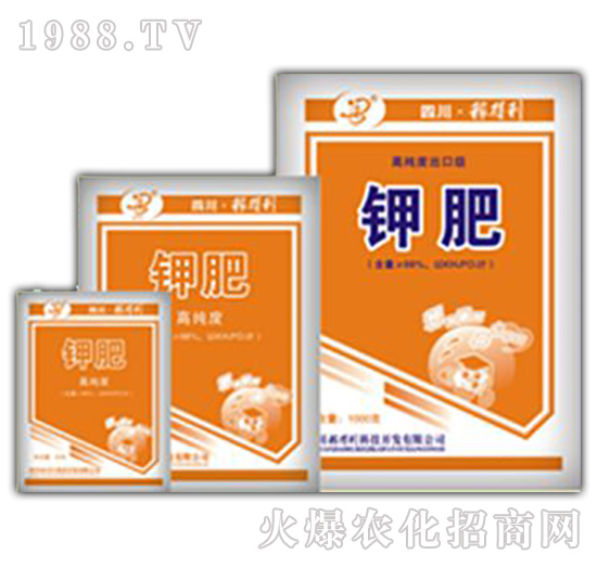 ⛷�-�ڵ���