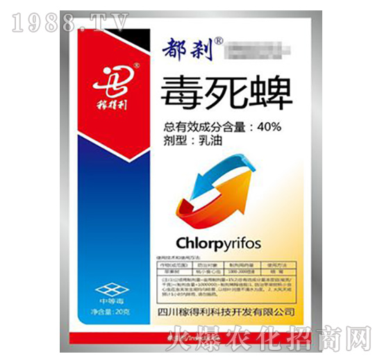 40%������-���x-�ڵ���