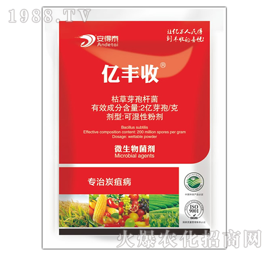 ����̿�Ҳ�-�|�S��-����̩