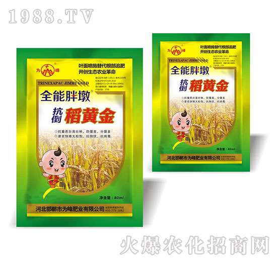 �������S��-ȫ���ֶ�-���