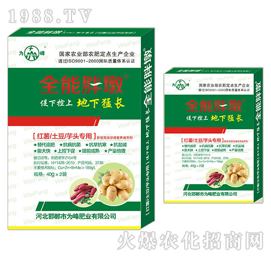 �t�������������^����-ȫ���ֶ�-���