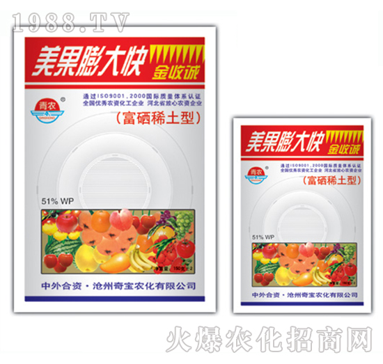 ��������-�挚�r��