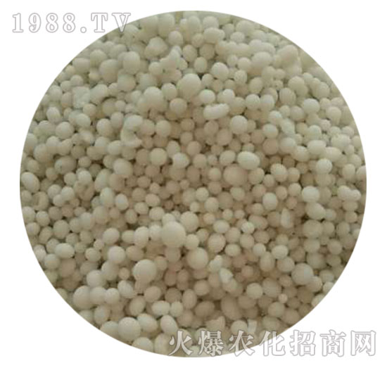 ������⛏�(f��)�Ϸ���25-10-10-���������w����-ֲ������