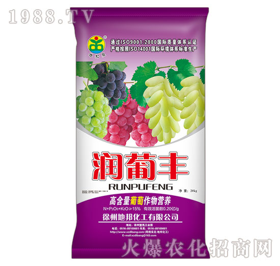 �����S-�ذ�Ȫ