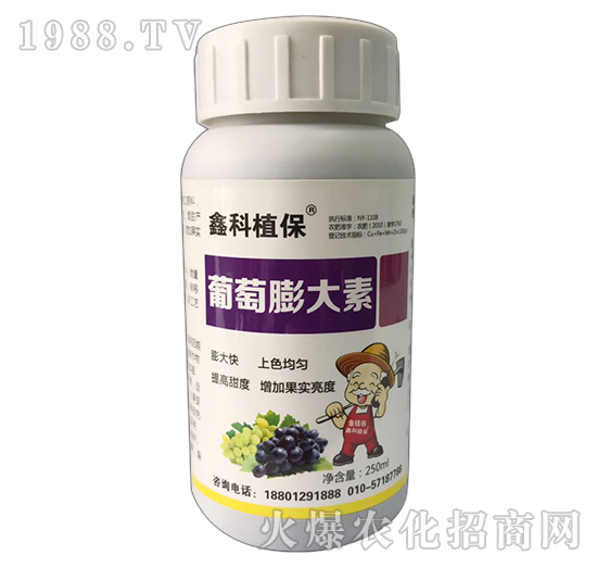 ���������-�ο�ֲ��