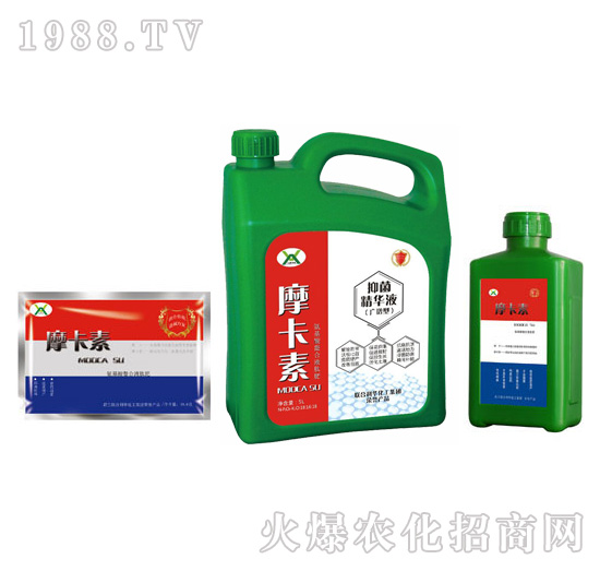 �V�V���־����AҺ���M�ϣ�-Ħ����-��(qi��ng)о���H