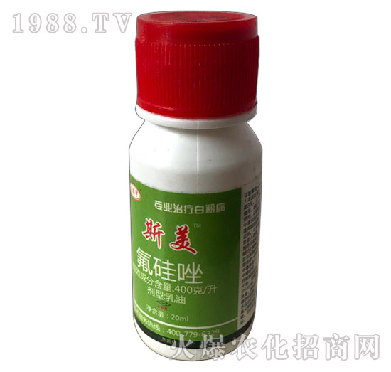 �׷۲�����-˹��-��̩��