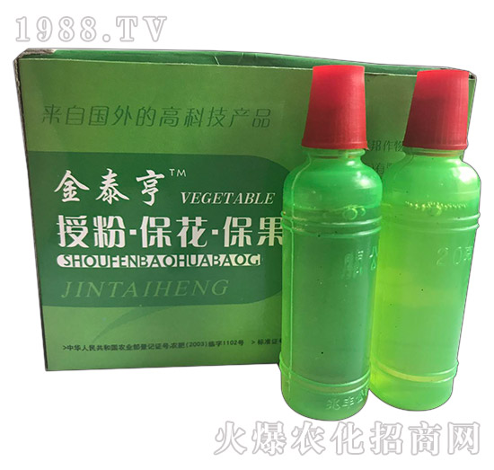 ��̩��-�ڷ۱���������