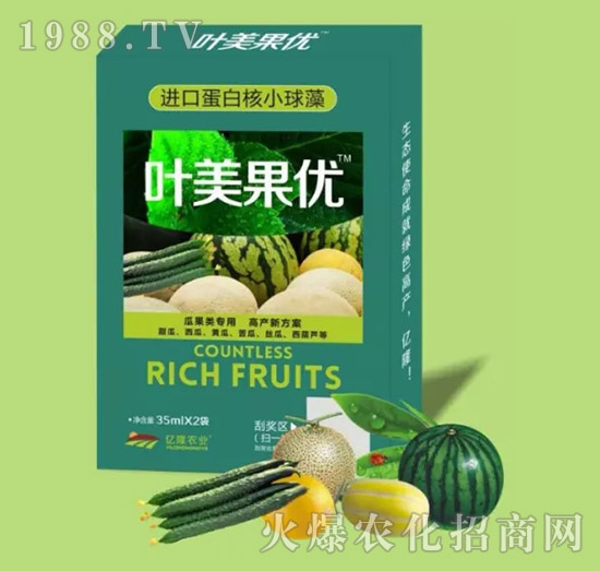 ������{��(ji��)��-�~������(y��u)-�|¡�r�I(y��)