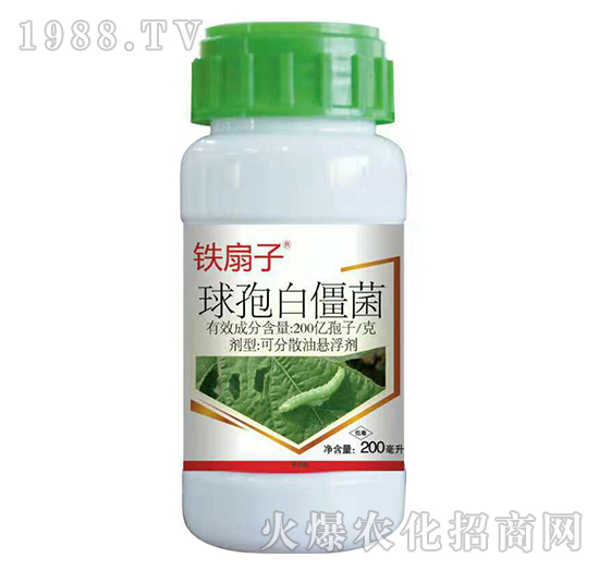 200�|����ÿ�����߰׽���-�F����-�����_(d��)