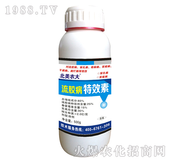 ���z����Ч��-�����r��