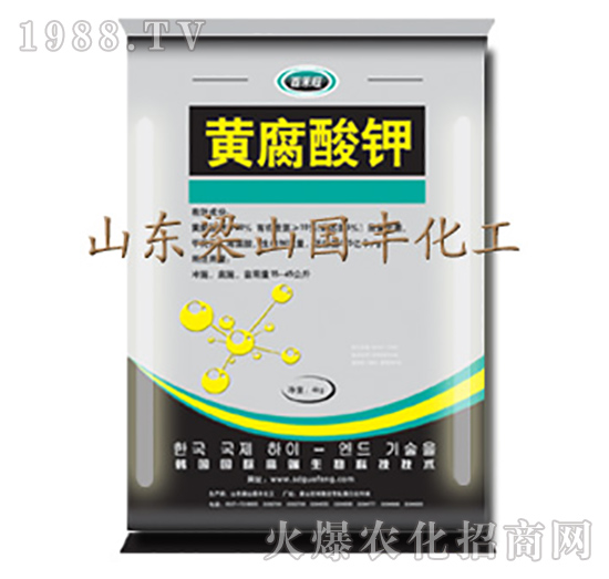 �S�����-��ɽ���S