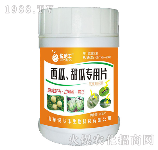 ��������ό���Ƭ��һ��һƬ��-�����S