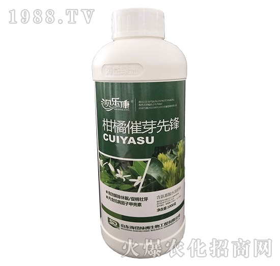 ���ٴ�ѿ���h-ؐ����-��᷾G��