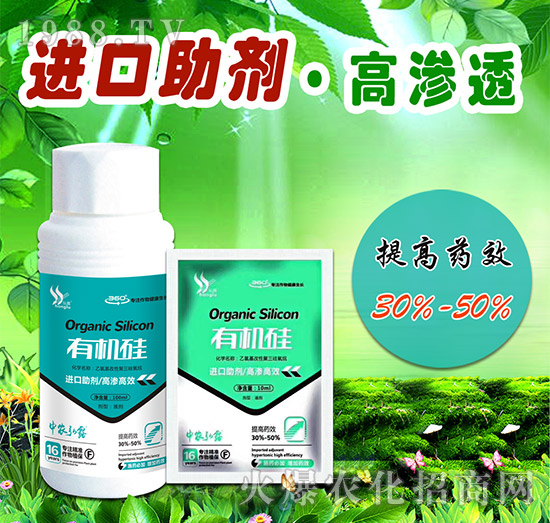 �ЙC��-���r��¶